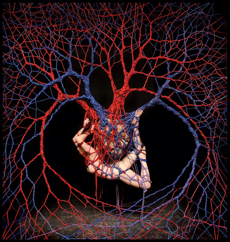 Illustration for article titled The beautiful bondage forests of Garth Knight